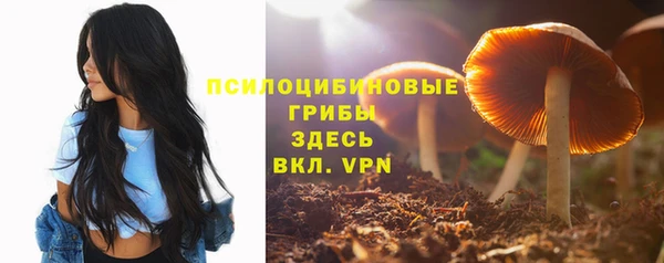крисы Армянск