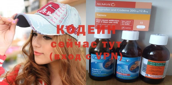 крисы Армянск