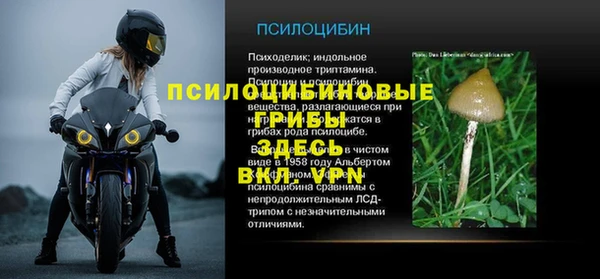 крисы Армянск