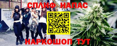 амф Гусь-Хрустальный