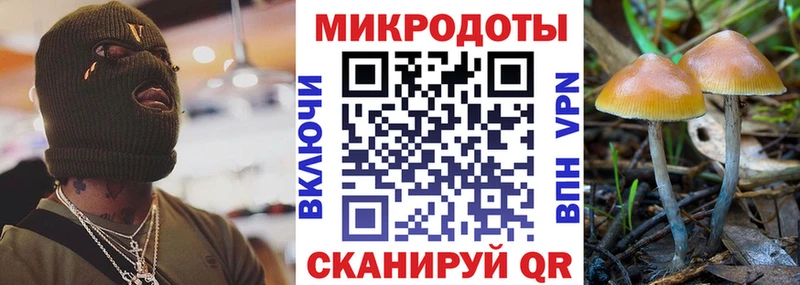 сколько стоит  Чернушка  Галлюциногенные грибы ЛСД 
