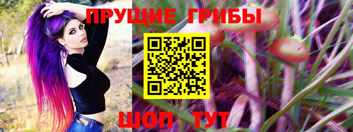 Псилоцибиновые грибы Psilocybe  Вход с VPN  Чернушка  Псилоцибиновые грибы Psilocybe 