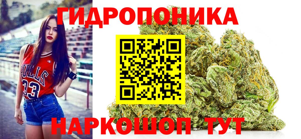 Конопля OG Kush Чернушка